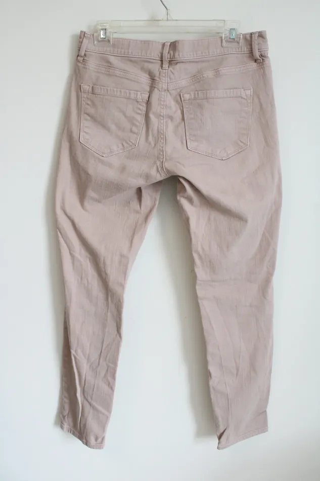 Ann Taylor LOFT Earrings Ann Taylor LOFT Modern Skinny Pale Pink Jeans 286