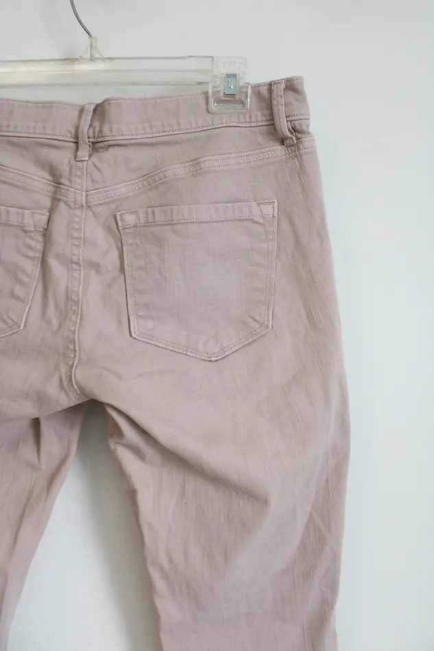 Ann Taylor LOFT Earrings Ann Taylor LOFT Modern Skinny Pale Pink Jeans 286