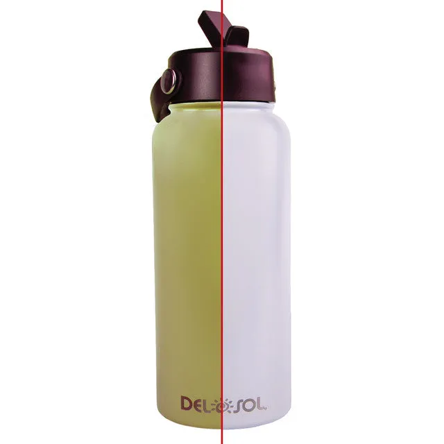 DELSOL Waterbottle 32oz Grey to Green Earrings