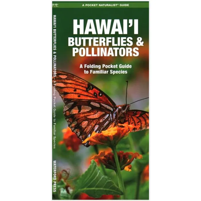 NATIONALBOOKNET Earrings Hawaii Butterflies and Pollinators A Folding Pocket Guide to Familiar Species
