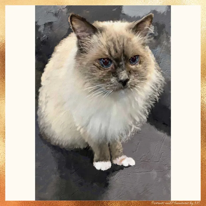 Portraits by NC Necklaces Birman Cat Digital Portrait