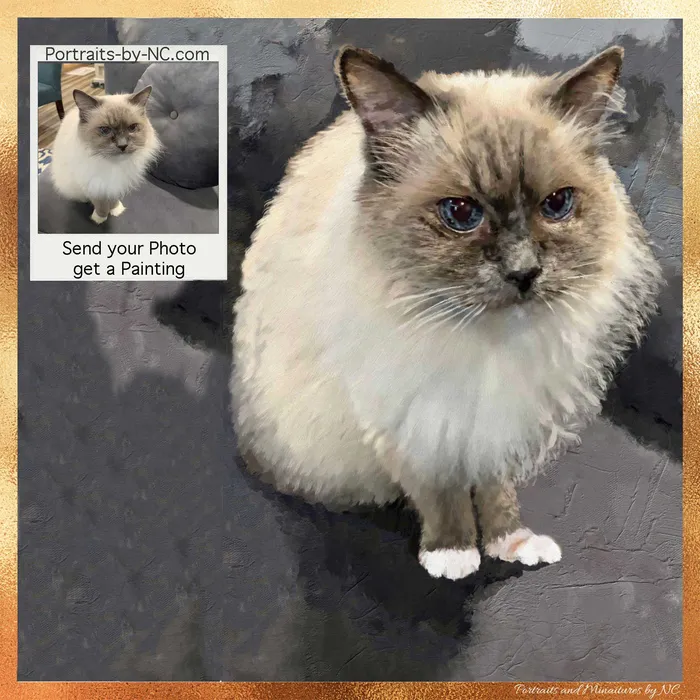 Portraits by NC Necklaces Birman Cat Digital Portrait