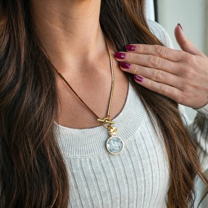 Twisted Silver 18 BUFFALO NICKEL Necklace Necklaces