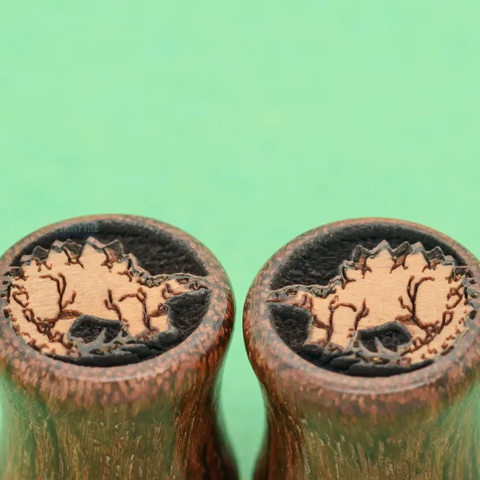 Earrings Omerica Organic Stegosaurus Dinosaur Wood Inlay Plugs
