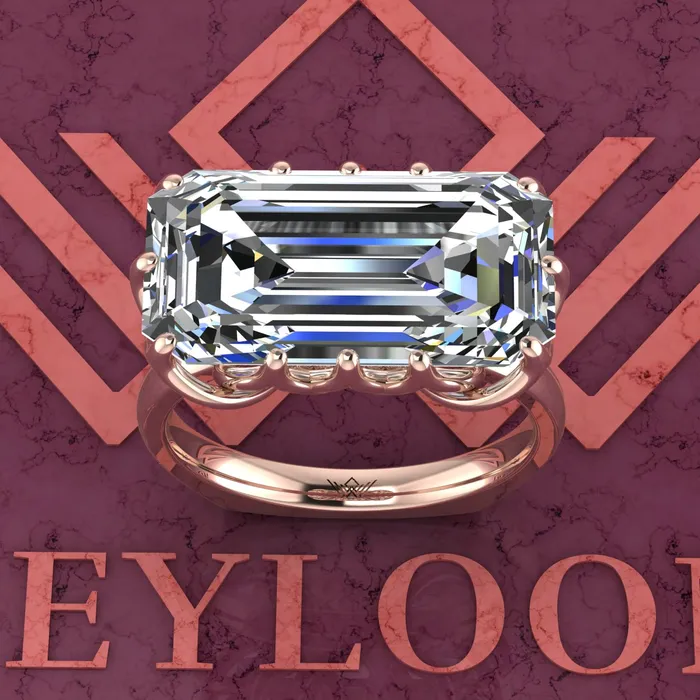 Leyloon Jewelry Rings 8 Carat Elongated Emerald Cut Tulip Set 12 Prong Solitaire Euro Shank D Color Moissanite Ring