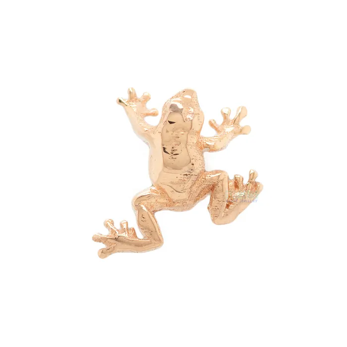 Necklaces Anatometal threadless Tree Frog End in Gold