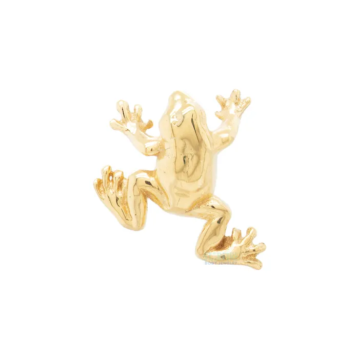Necklaces Anatometal threadless Tree Frog End in Gold