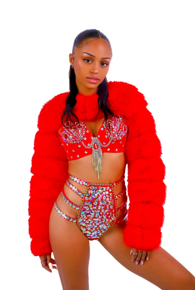 THE LUMI SHOP Earrings FULL OUTFIT Fuzzy Red Swan 3 pcs