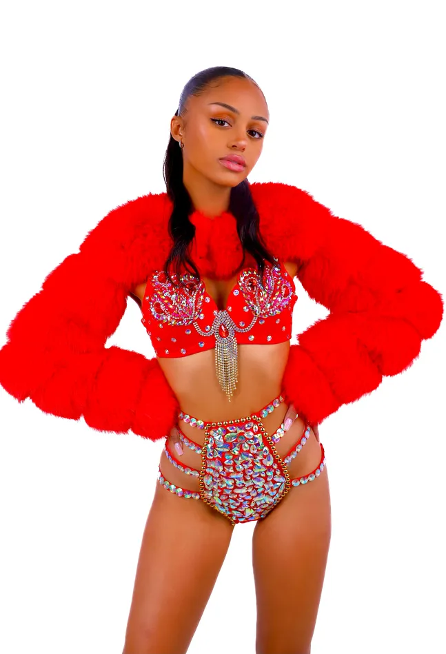 THE LUMI SHOP Earrings FULL OUTFIT Fuzzy Red Swan 3 pcs