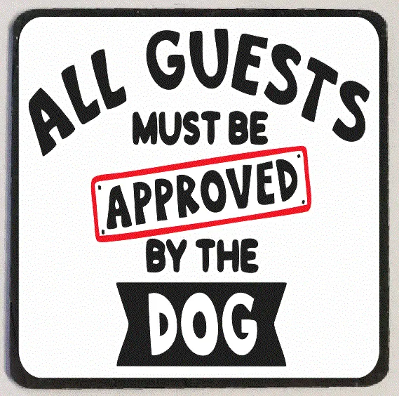 Earrings M235 Approved By The Dog Funny Refrigerator Magnet Iris Fashion Jewelry Earrings M235 Approved By The Dog Funny Refrigerator Magnet Iris Fashion Jewelry