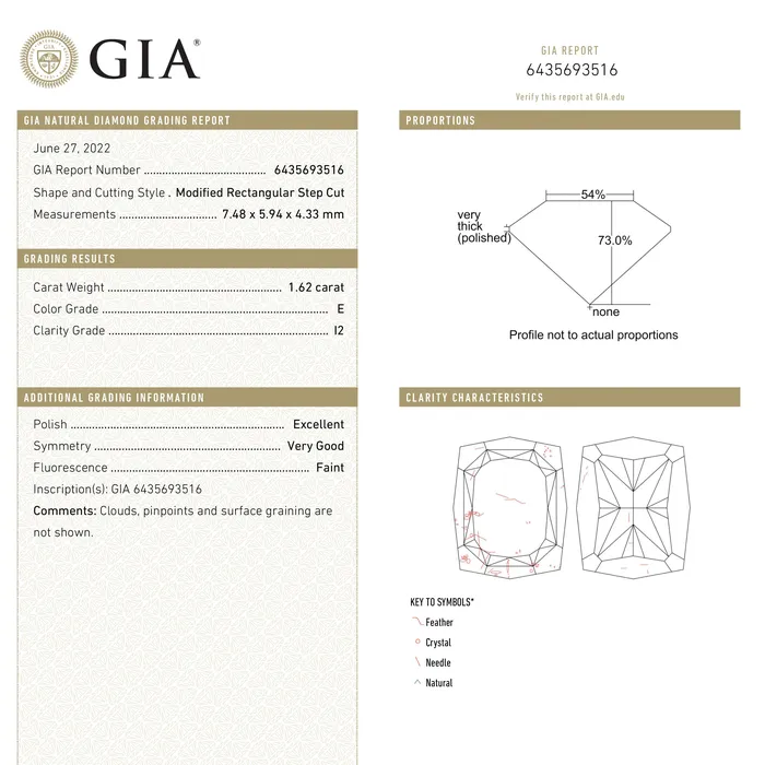 Earrings Misfit Diamonds 162ct 748x594x433mm GIA I2 E Geo Cushion Step Cut 2452701