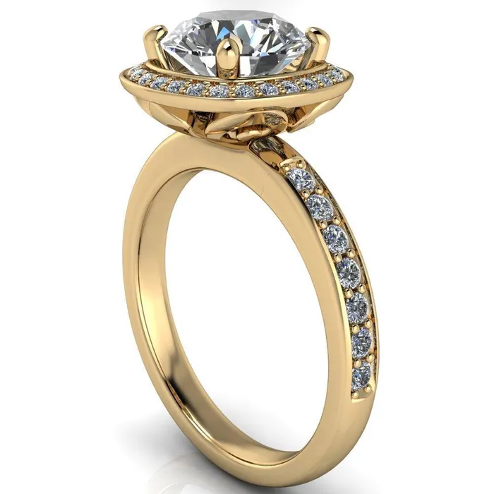 Fire Brilliance Rings Juliana Round Center Stone Halo and Half Eternity Ring