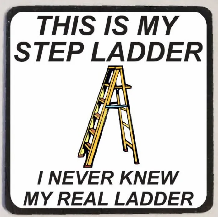 Iris Fashion Jewelry Earrings M91 My Step Ladder