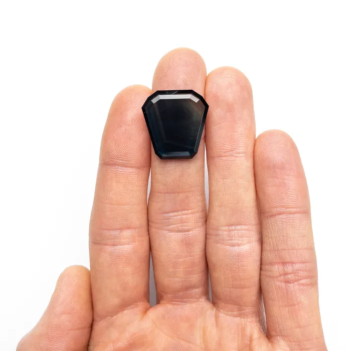 Misfit Gems Rings 1600ct 2064x2021x295mm Shield Portrait Cut Sapphire 2483801