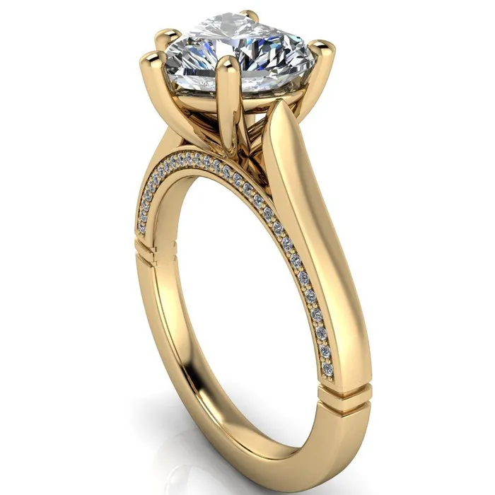 Rings Fire Brilliance Colette Heart Moissanite 5 Prong Half Eternity Cathedral Ring