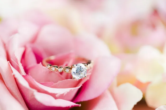 Rings Fire Brilliance Shirley Round Center Stone 4 Prong Loop Diamond Side Engagement Ring