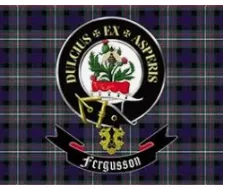 Scottish and Irish Store Earrings Clan Flag Nylon Ferguson