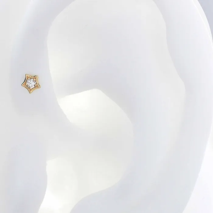 Shiva Design and Jewels Earrings Prong Star Diamond