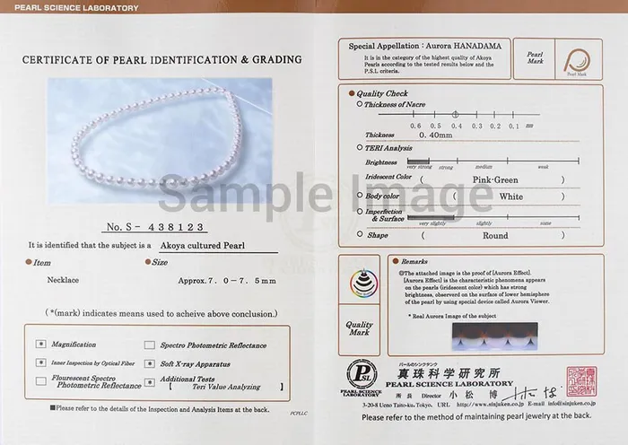 spt White Hanadama Japanese Akoya Pearl Bracelet 8590mm Bracelets