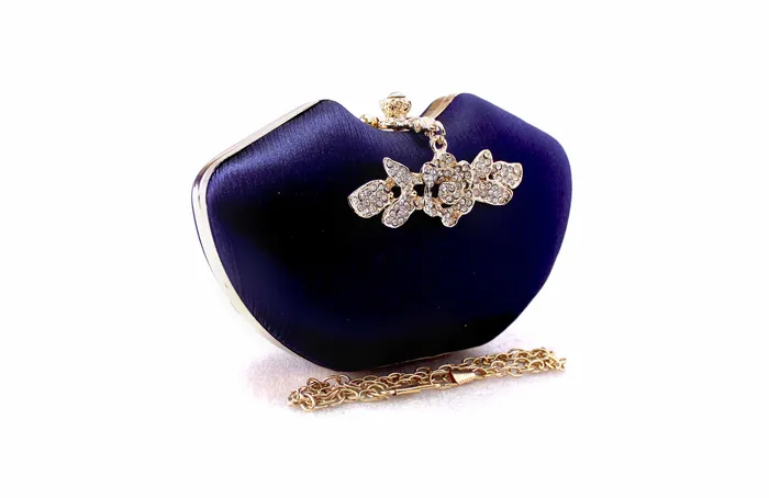 Walkeaze Earrings Women Party Bag 3319B