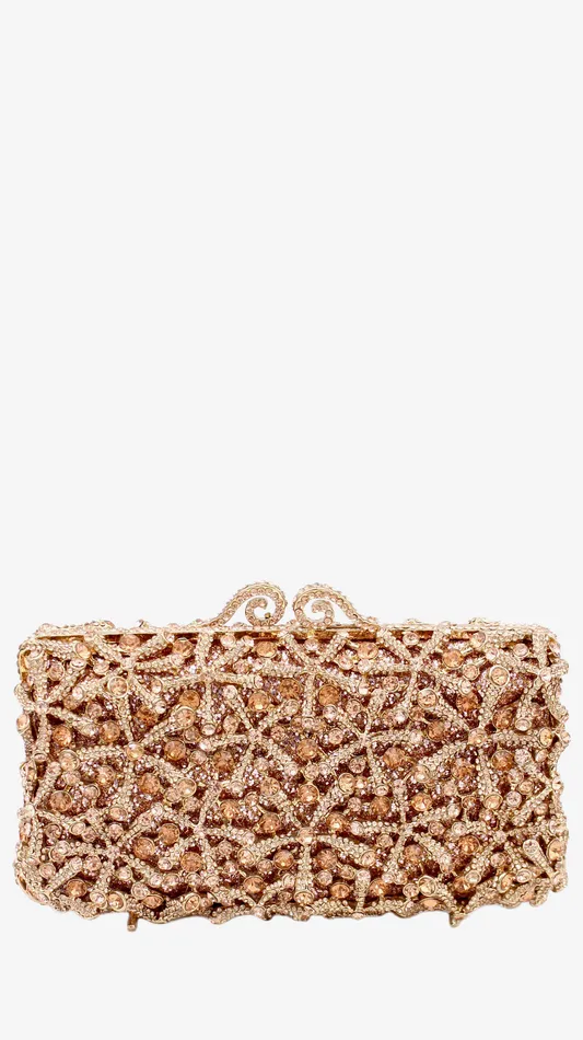 Women Clutch 15028B Walkeaze Earrings